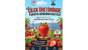 ÇİLEK ÜRETİMİNDE TÜRKİYE DÖRDÜNCÜSÜYÜZ