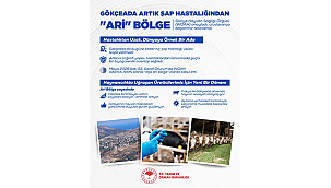 GÖKÇEADA'YA ULUSLARARASI TESCİL