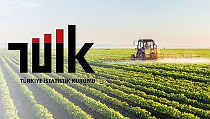 TARIM ÜRÜNLERİ ÜRETİCİ FİYATLARI YILLIK YÜZDE 43 ARTTI