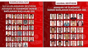 54 FİRARİ SUÇLU TÜRKİYE'YE İADE EDİLDİ