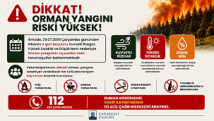ÇANAKKALE İÇİN ORMAN YANGINI UYARISI: RİSK 4 GÜN SÜRECEK