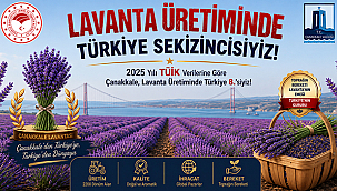 ÇANAKKALE LAVANTA ÜRETİMİNDE TÜRKİYE 8'İNCİSİ OLDU