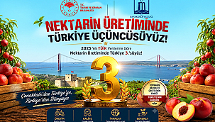 ÇANAKKALE, NEKTARİN ÜRETİMİNDE TÜRKİYE ÜÇÜNCÜSÜ