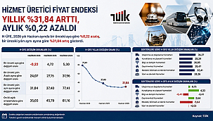 HİZMET ÜRETİCİ FİYAT ENDEKSİ HAZİRAN'DA YILLIK YÜZDE 31,84 ARTTI