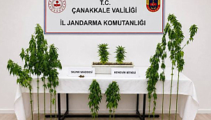 ÇANAKKALE'DE UYUŞTURUCU OPERASYONU: 7 ŞÜPHELİ YAKALANDI