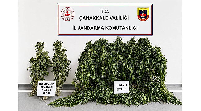 ÇANAKKALE JANDARMASINDAN UYUŞTURUCU OPERASYONU