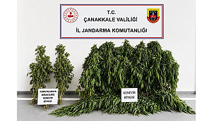 ÇANAKKALE JANDARMASINDAN UYUŞTURUCU OPERASYONU