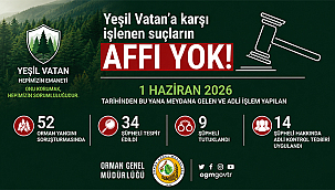 ORMAN YANGINLARI SORUŞTURMALARINDA 34 ŞÜPHELİ TESPİT EDİLDİ