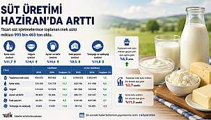 SÜT ÜRETİMİ HAZİRAN'DA ARTTI