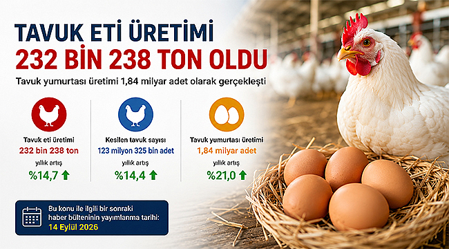 TAVUK ETİ ÜRETİMİ HAZİRAN'DA YÜZDE 14,7 ARTTI