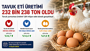 TAVUK ETİ ÜRETİMİ HAZİRAN'DA YÜZDE 14,7 ARTTI
