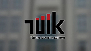 YURT DIŞI ÜRETİCİ FİYATLARI TEMMUZ'DA YÜZDE 29,67 ARTTI