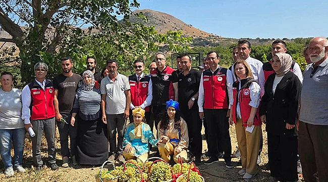 BAKAN YARDIMCISI AHMET GÜMEN GÖKÇEADA'DA BAĞ BOZUMUNA KATILDI