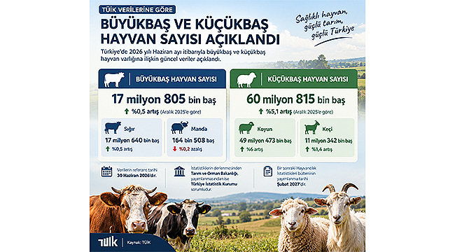 BÜYÜKBAŞ VE KÜÇÜKBAŞ HAYVAN SAYISI AÇIKLANDI