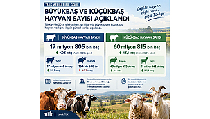 BÜYÜKBAŞ VE KÜÇÜKBAŞ HAYVAN SAYISI AÇIKLANDI