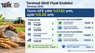 TARIM-GFE TEMMUZ'DA YÜZDE 27,62 ARTTI