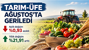 TARIM-ÜFE AĞUSTOS'TA GERİLEDİ