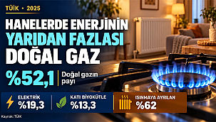 HANELERDE ENERJİ TÜKETİMİNİN YARIDAN FAZLASI DOĞAL GAZ