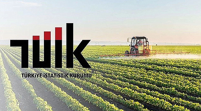 TARIMDA ÜRETİCİ FİYATLARI EYLÜLDE GERİLEDİ