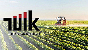 TARIMDA ÜRETİCİ FİYATLARI EYLÜLDE GERİLEDİ